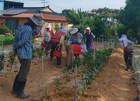 로컬푸드안심팜(Farm) 사진 1