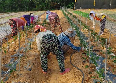 로컬푸드안심팜(Farm) 사진 2